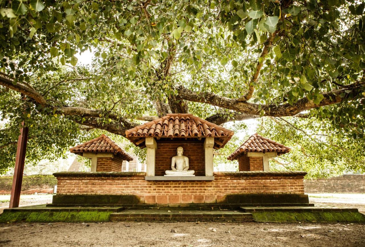 Thaulle Ayurveda - Yala Tissamaharama